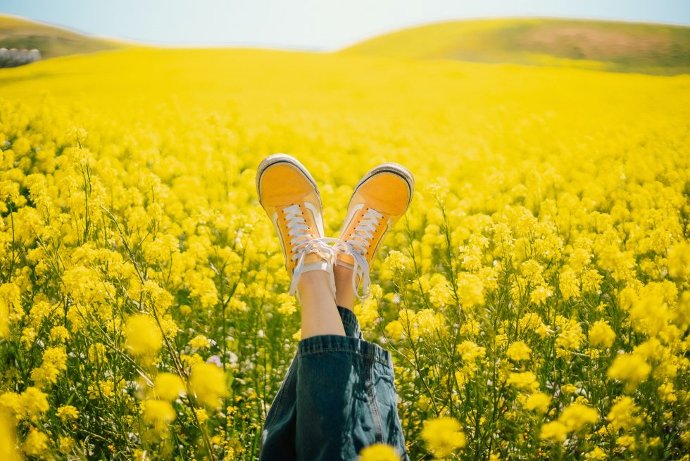 Spring into Summer!